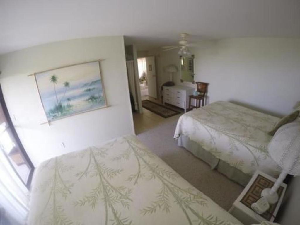 Hale-Hoola B & B กัปตันคุก ภายนอก รูปภาพ